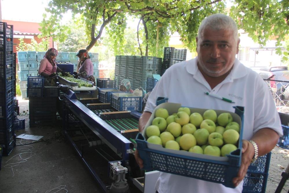 Avrupa tescilli Bayramiç beyazı! Tarlada kilosu 50 lira