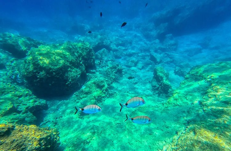 Avrupanın en değerli plajları belli oldu! Tatil cenneti ilçemiz listeye damga vurdu