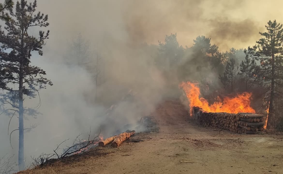 Bolu'da orman yangını! Havadan ve karadan müdahale ediliyor