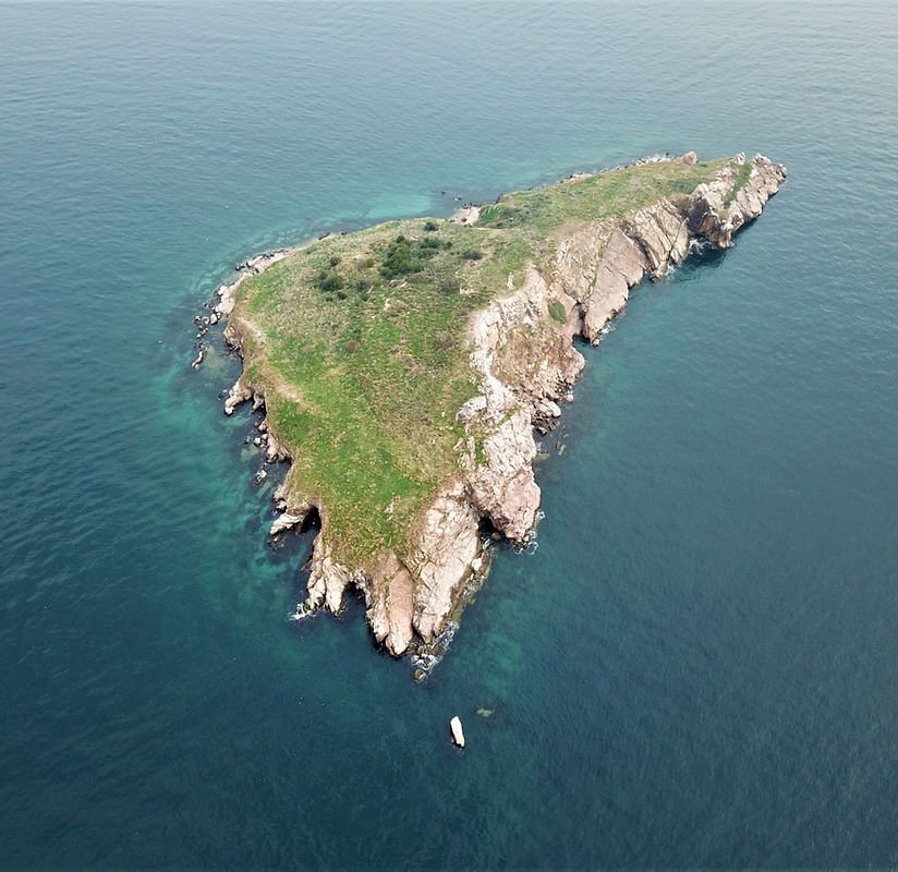 İstanbul’un eşsiz mor mercanları Akdeniz’e ekildi! Sıfır Atık vizyonu Deniz Koruma ile buluştu