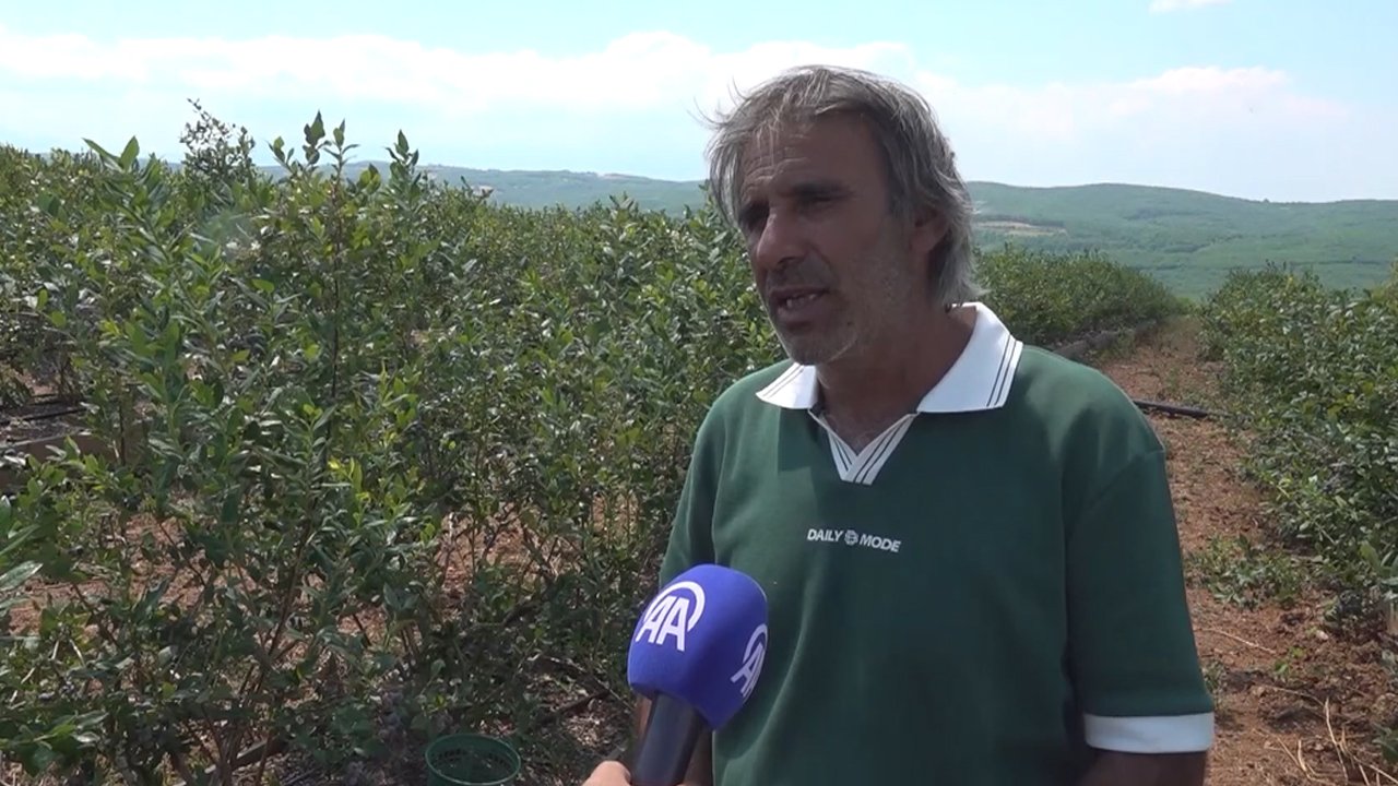 Mehmet Demir
