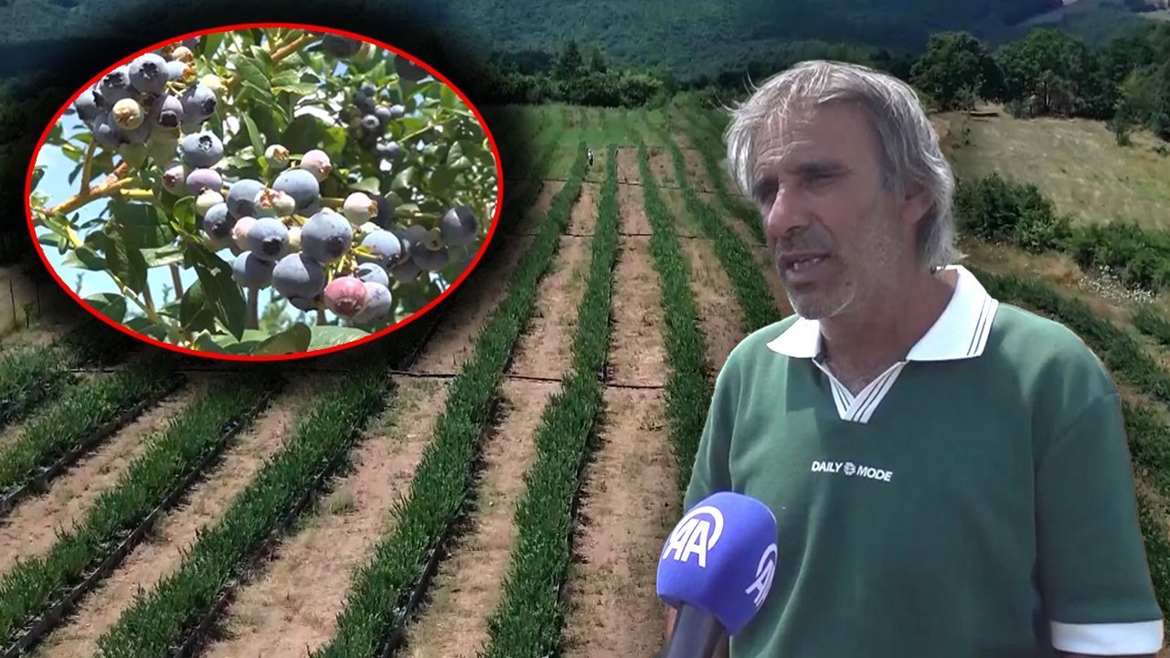 BÖLGENİN TARIM KRALI OLDU!