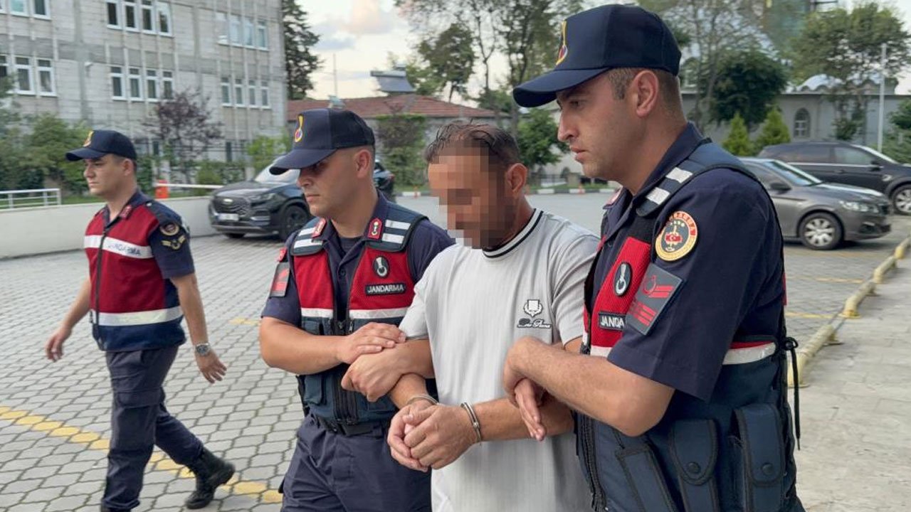 Ayva dalı kavgası cinayetle bitti! Fındık toplamaya gelen gurbetçi amca katili oldu