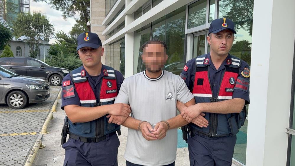 Ayva dalı kavgası cinayetle bitti! Fındık toplamaya gelen gurbetçi amca katili oldu