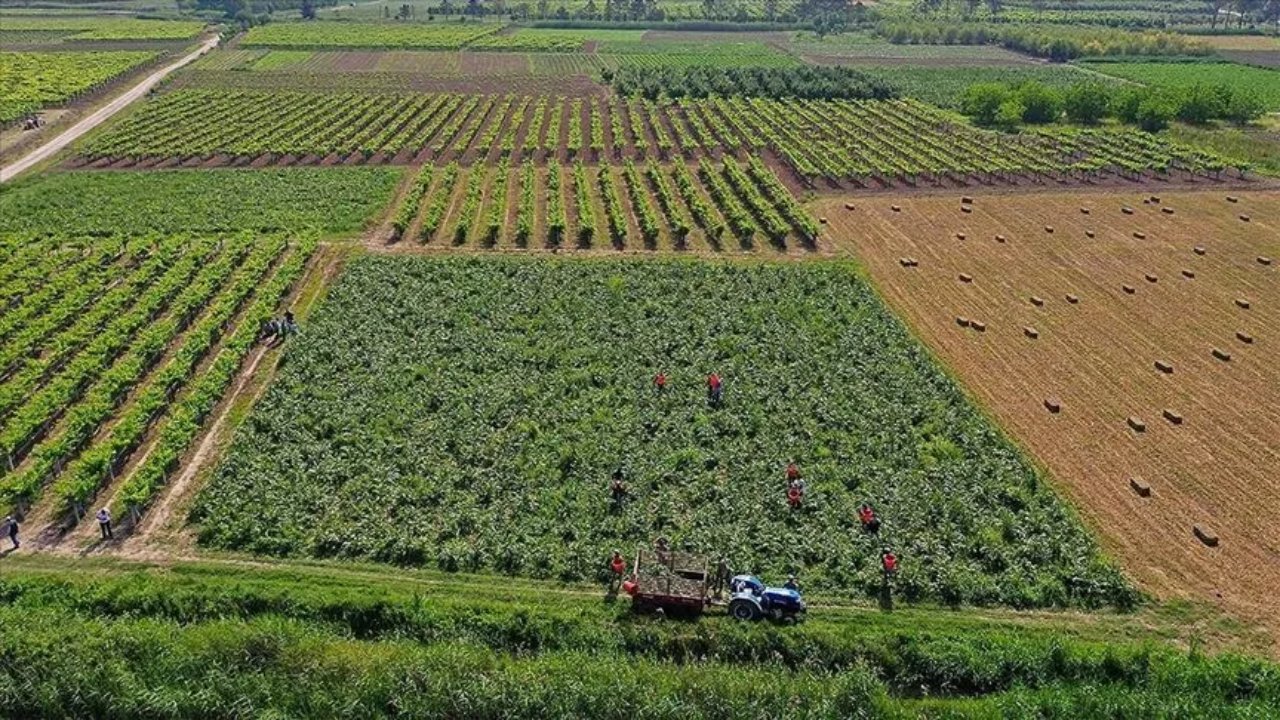 Çiftçiye 106 milyar liralık destek! 2,9 milyon üretici yararlandı