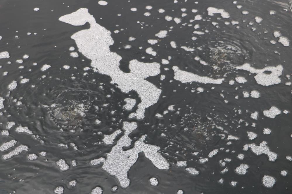 Erzurum'da yarım asırlık gizemli su kaynağı! Çıktığı günden beri yanıyor