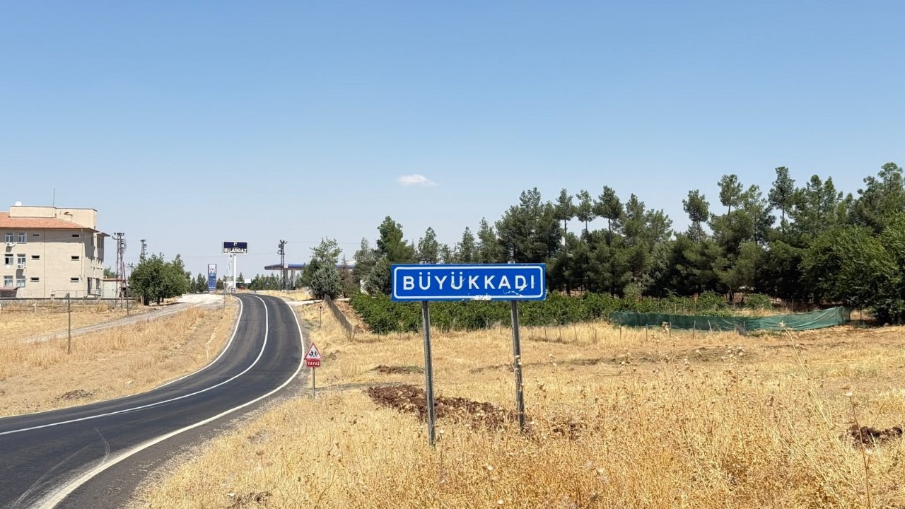 Diyarbakır'da kedinin ısırdığı çocuk entübe edildi