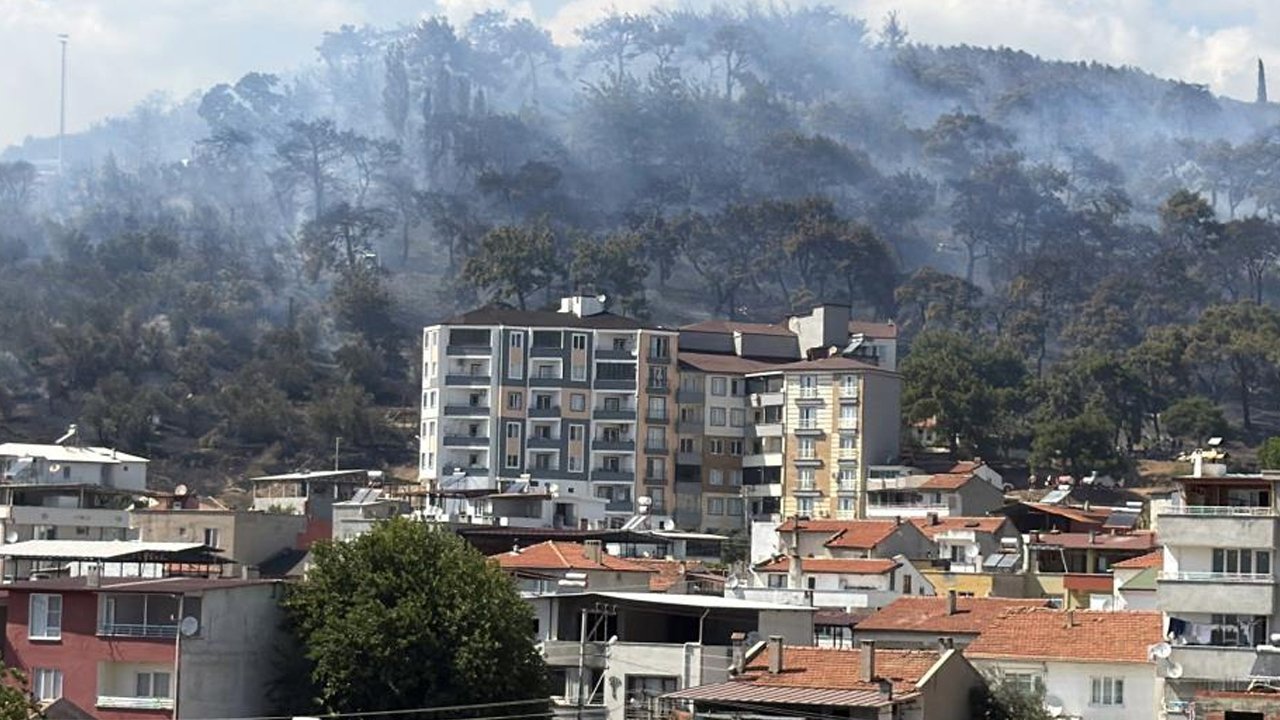 Edremit’te orman yangınının nedeni belli oldu! Bir kişi tutuklandı
