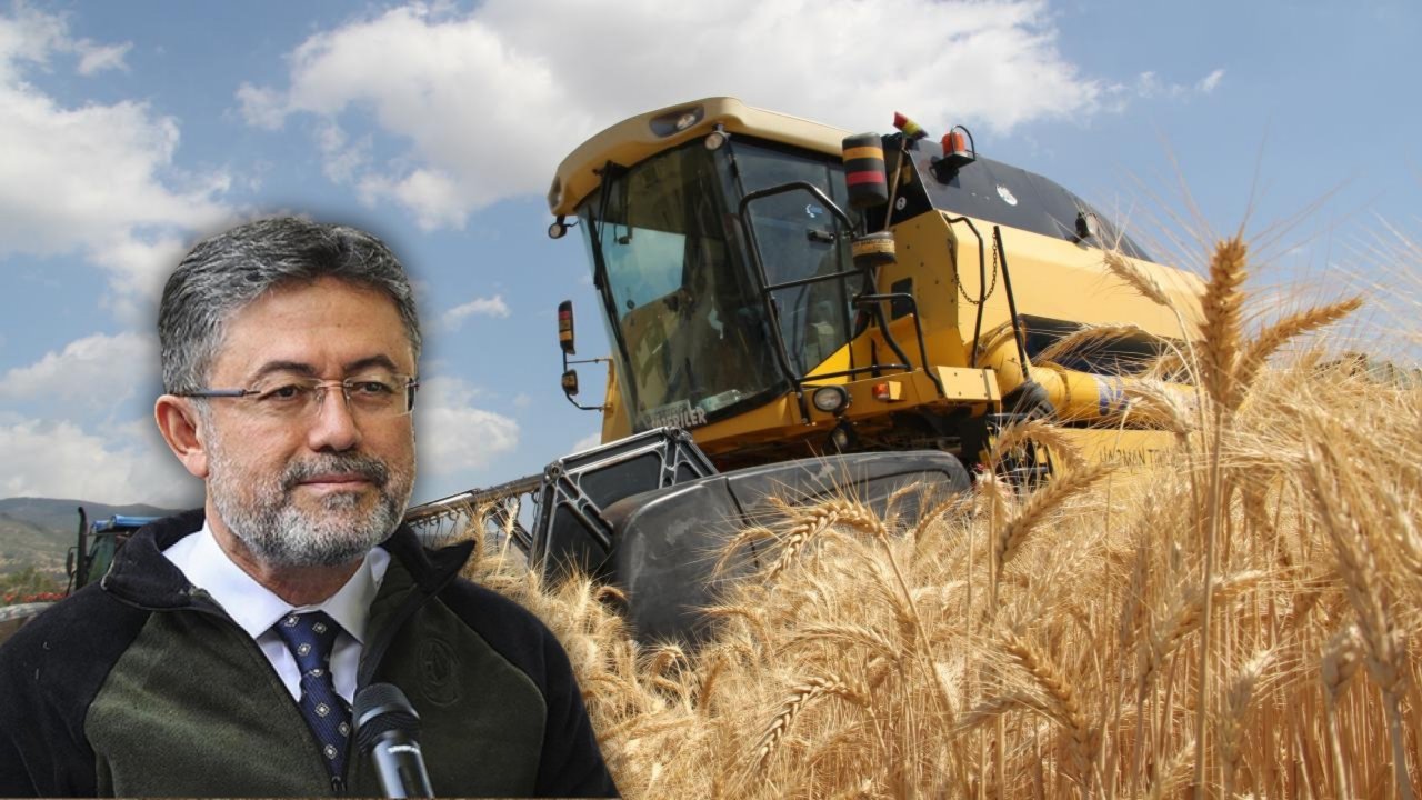 Bakan Yumaklı açıkladı! Buğday hasadında tüm zamanların rekoru