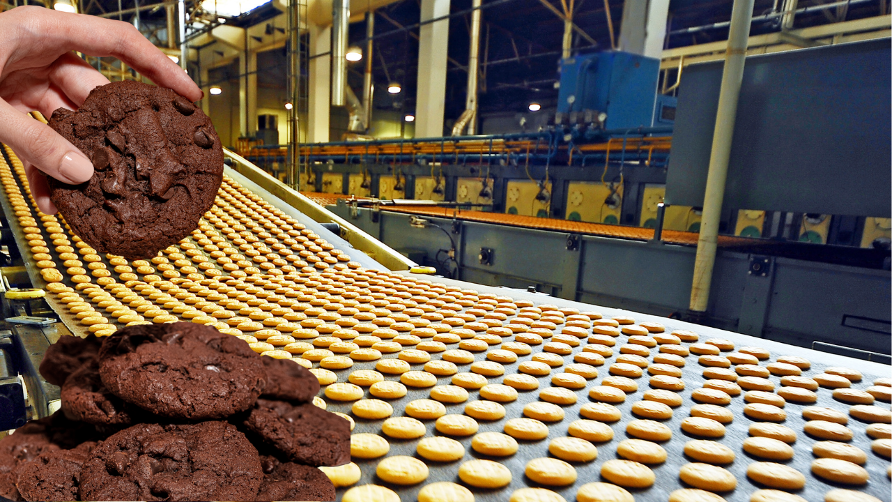 Bisküvi fabrikasında karbon skandalı! 'Kakaolu' diye satacaklardı, ekipler düğmeye bastı