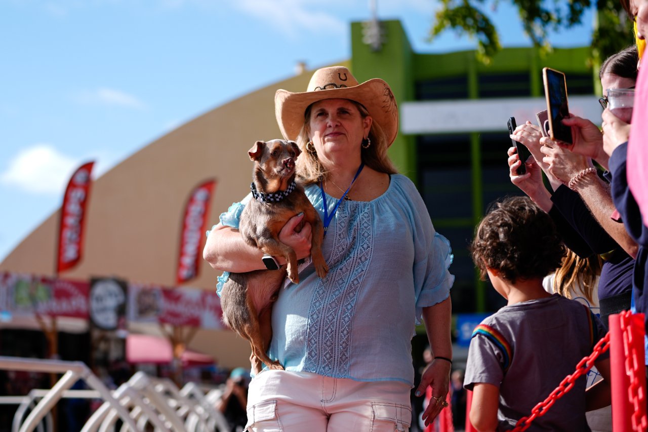 Dünyanın en çirkin köpeği belli oldu! Zirvenin sahibi tacı kaptı, görenleri şaşırttı