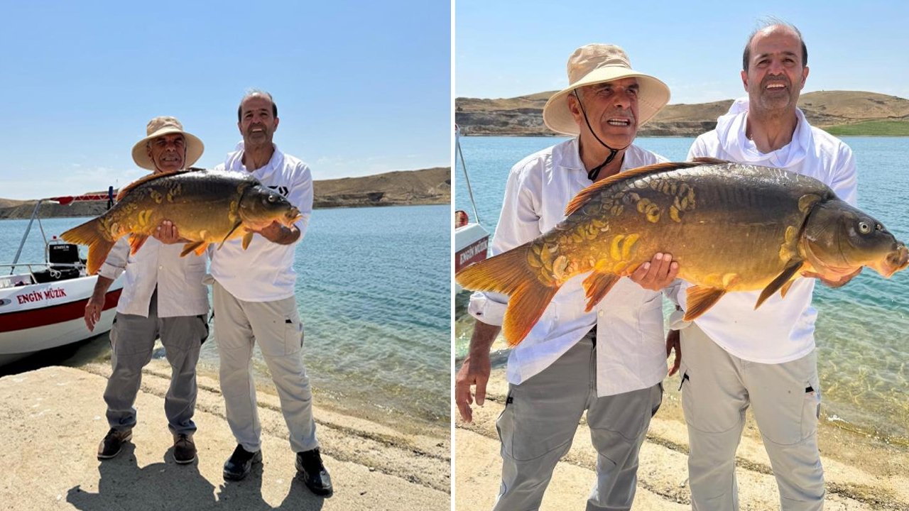 Olta ile 27 kilogramlık sazan yakaladı