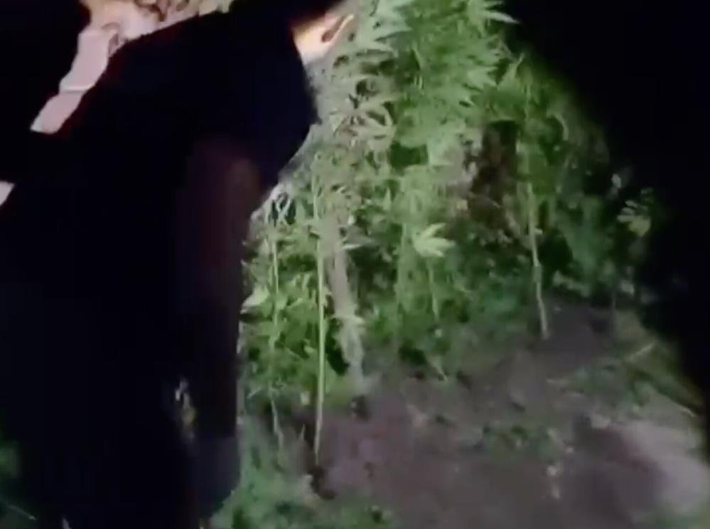 Dedeler operasyonla yakalandı! Evlerinden çıkanlar şaşkına çevirdi...