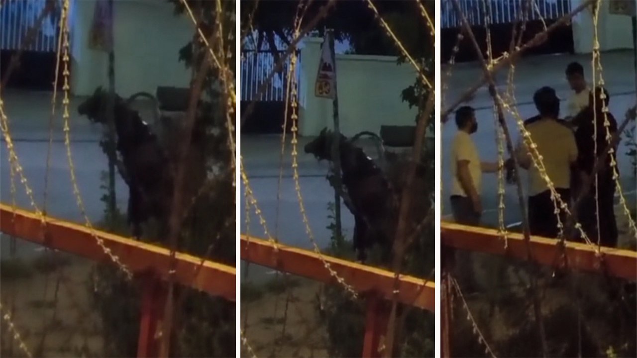 Bu nasıl vicdan! Ata dakikalarca vurdu, dehşete düşüren anlar kameraya yansıdı