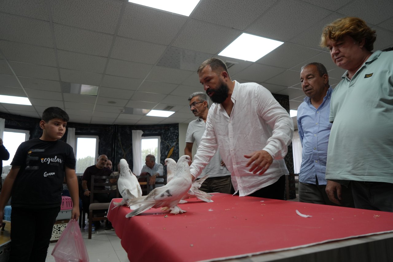 Hepsi tek tek podyuma çıktı! Ev ve araba parasına satılıyor… Değeri 5 milyon TL’ye kadar çıkıyor