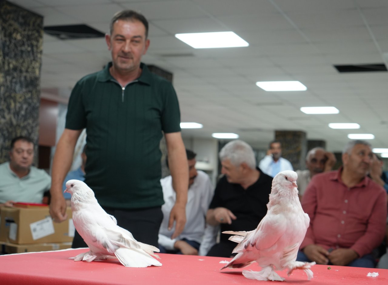 Hepsi tek tek podyuma çıktı! Ev ve araba parasına satılıyor… Değeri 5 milyon TL’ye kadar çıkıyor