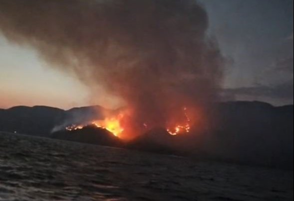 Marmariste orman yangınına havadan ve denizden müdahale! 2nci gününde kontrol altına alındı