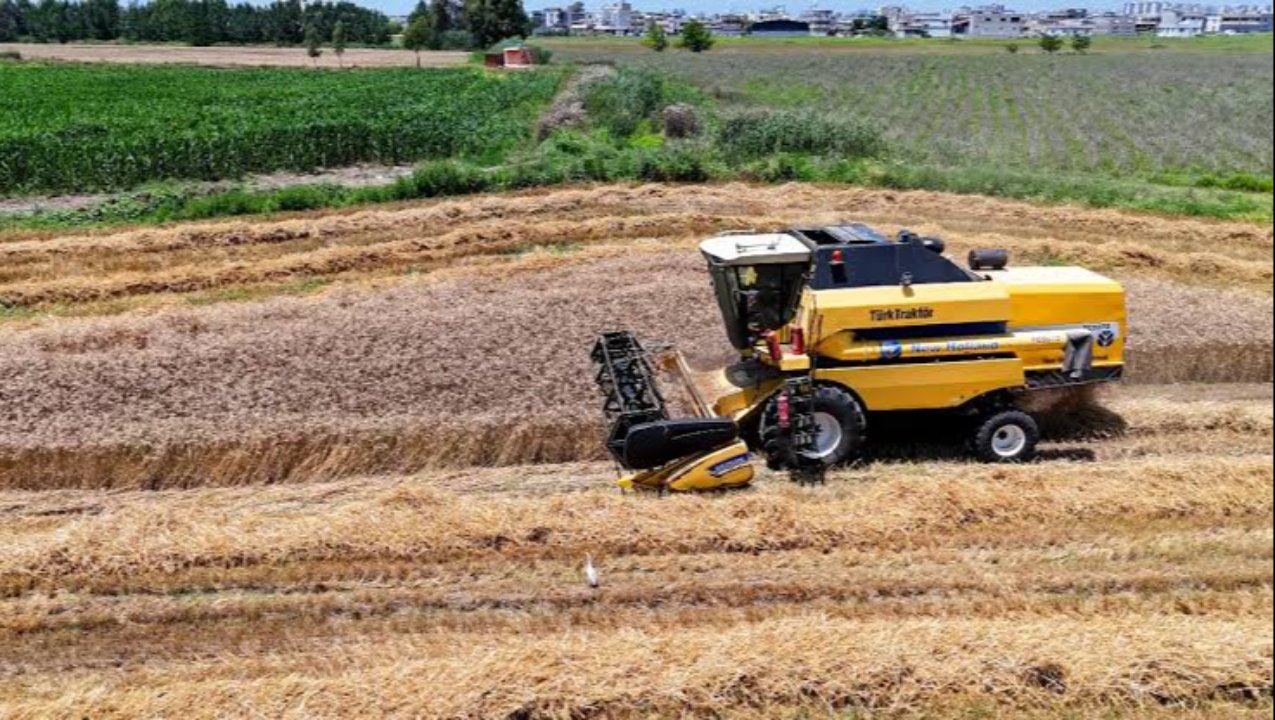 Günlük 4 ton satılıyor, kilosu 60 lira! Kalp dostu ürün yoğun talep görüyor
