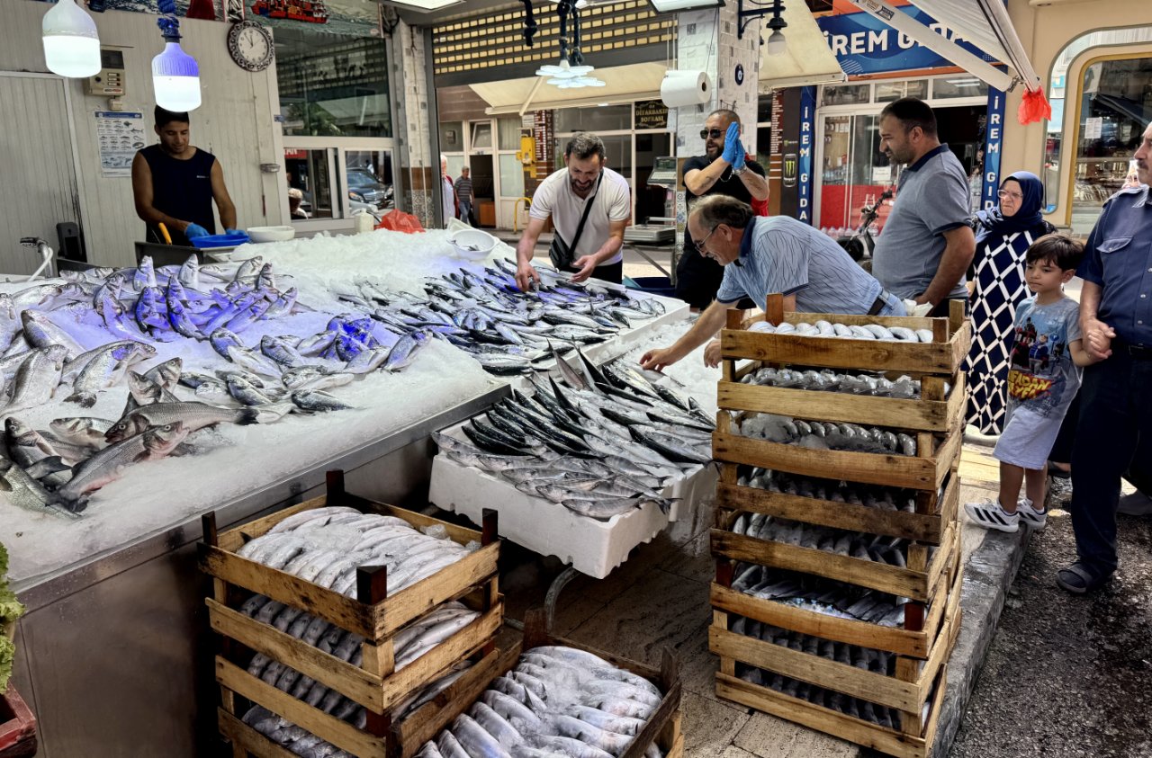 Karadenizde palamut bolluğu! Tezgahlarda yerini aldı, işte tane fiyatı