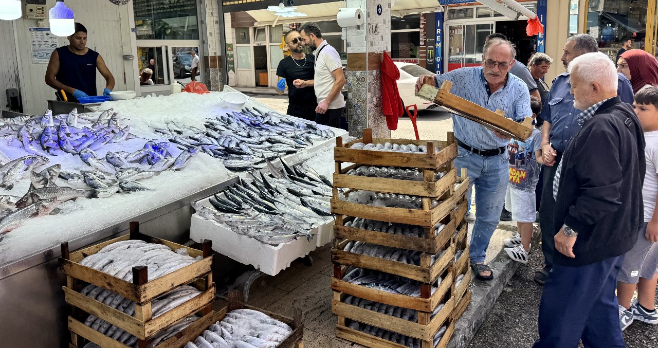 KARADENİZ'DE PALAMUT BOLLUĞU!