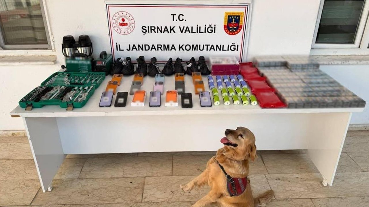 Şırnak'ta kaçakçılık operasyonu: 26 milyon liralık malzeme ele geçirildi