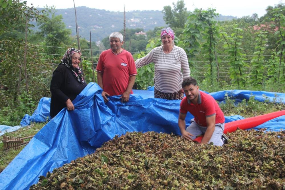 Yılda sadece 50 gün çalışıyorlar! Saatte 6 bin TL kazanıyorlar