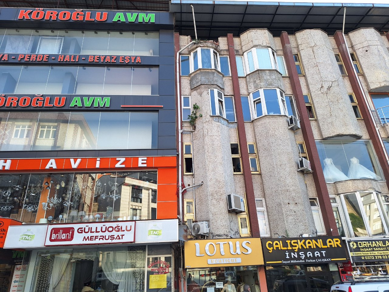 4 katlı binanın duvarında büyüdü! Bu ağacı görenler gözlerine inanamıyor