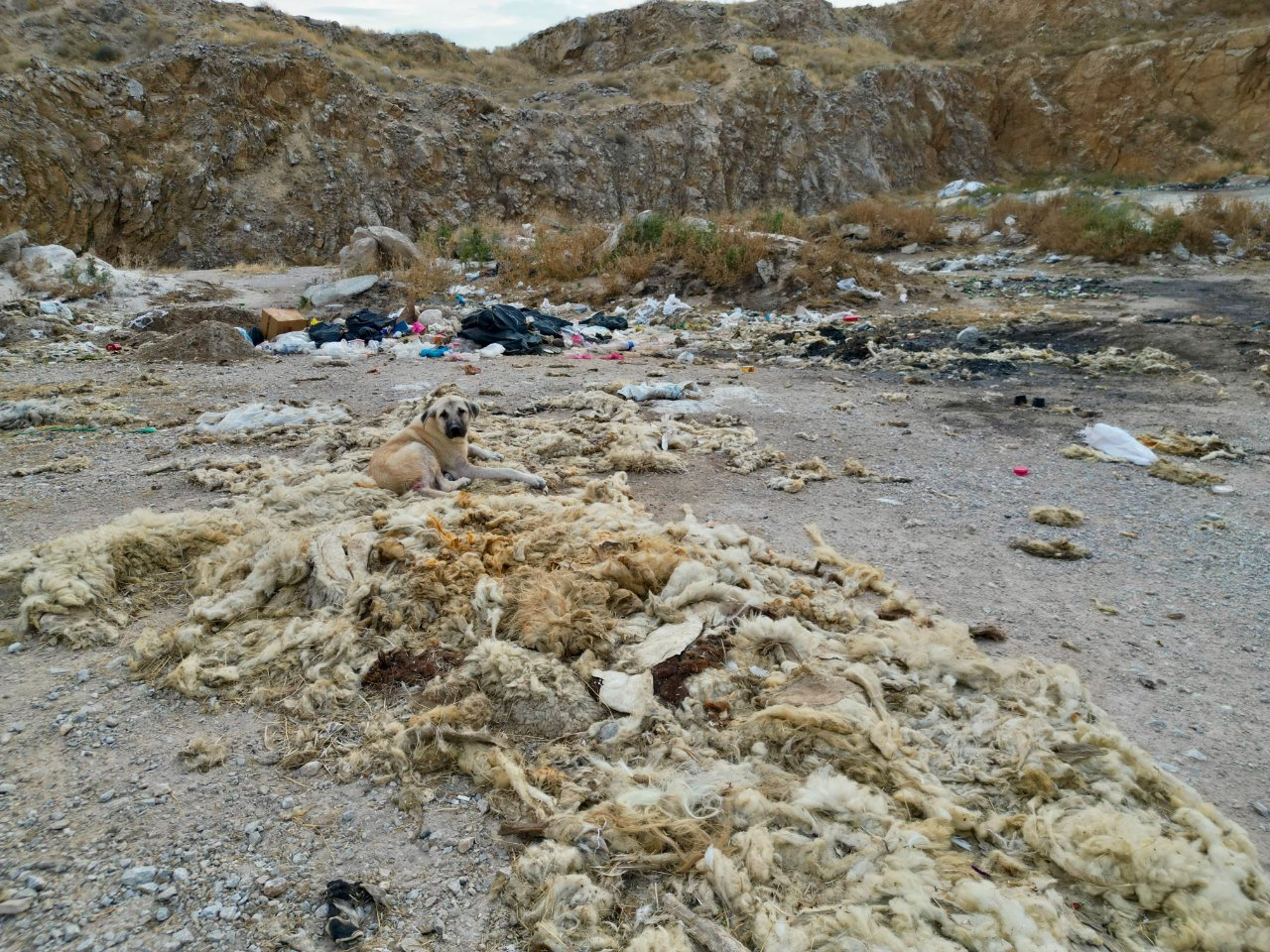 Kokudan durulmuyor! Her köşe doldu taştı, çöplüğe dönen kum ocağında çevre felaketi alarmı