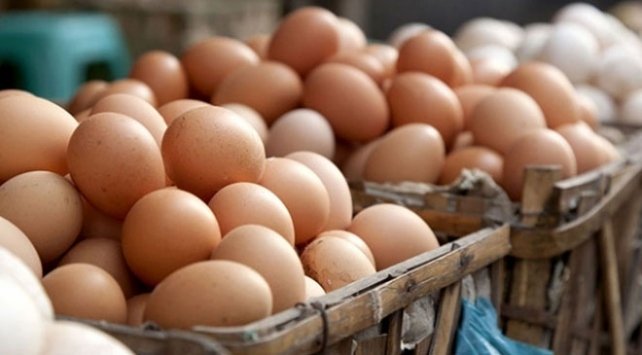 Yumurtada 'salmonella' salgını! Avrupa ülkesinde 1 kişi öldü, 200 kişi hastanelik oldu