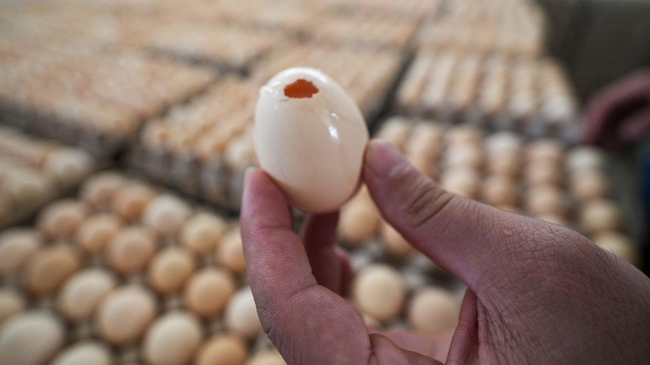 Yumurtada 'salmonella' salgını! Avrupa ülkesinde 1 kişi öldü, 200 kişi hastanelik oldu