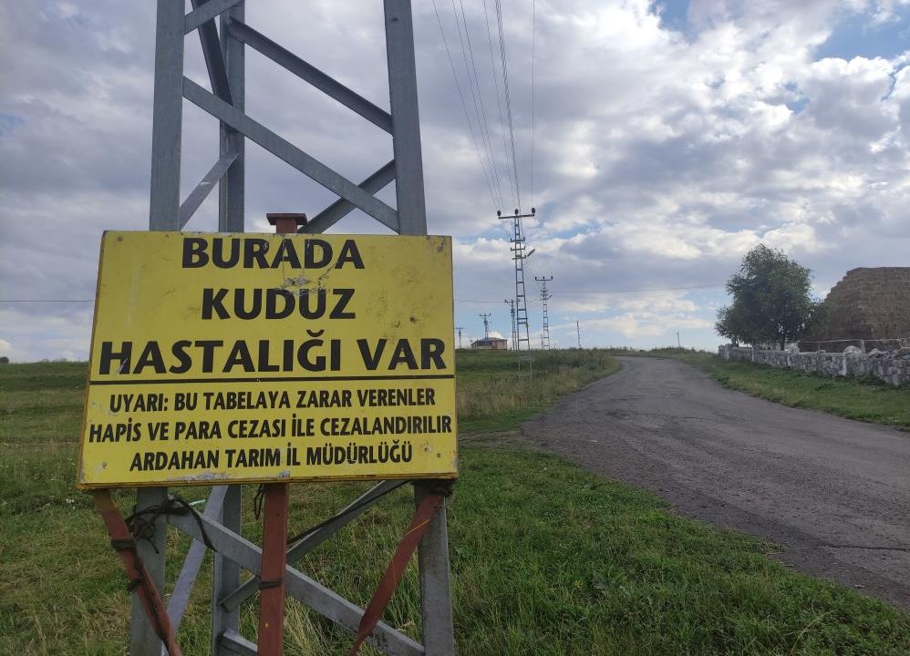 Ardahan'da kuduz paniği! Mahalleye giriş çıkışlar yasaklandı