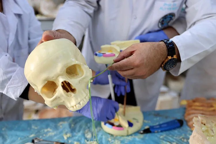 Bağışlanan kadavralar karaborsaya düştü! Harvarddaki skandalda ailelere 53 milyon dolar ödenecek