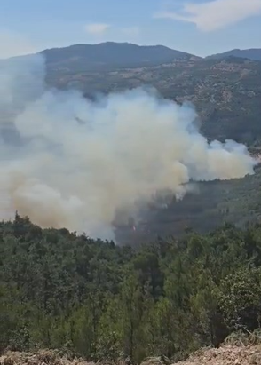 Balıkesir Sındırgı’da ormanlık alanda yangın! Müdahale sürüyor