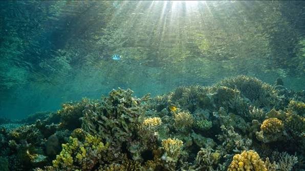 Dünya için çifte alarm: Denizler normalden hızlı ısındı, El Nino rekorla geliyor: Gözler 2027’de