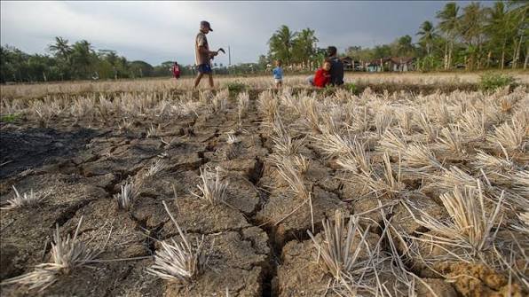 Dünya için çifte alarm: Denizler normalden hızlı ısındı, El Nino rekorla geliyor: Gözler 2027’de