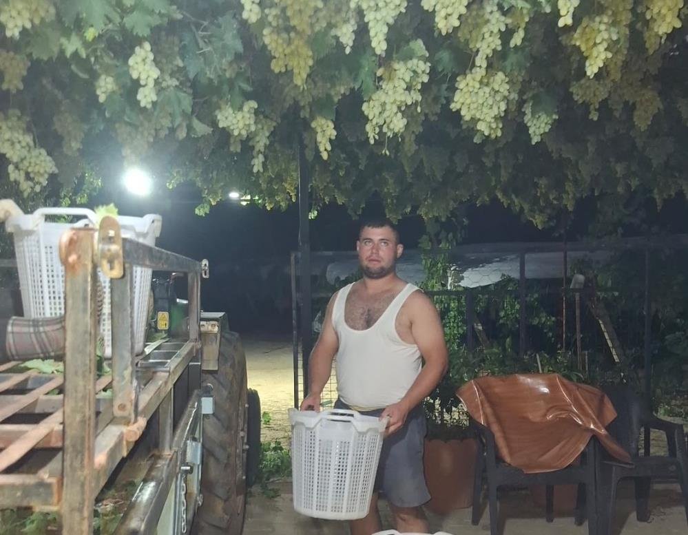 Gece hasadı başladı! Kilosu 25 lira, tam bir antioksidan deposu