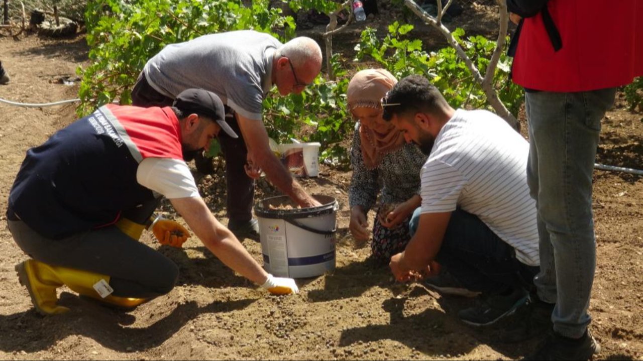 İnternette görüp denedi, yüksek getiri sonrası tarlasını doldurdu: 10 kat fazla kazandırıyor