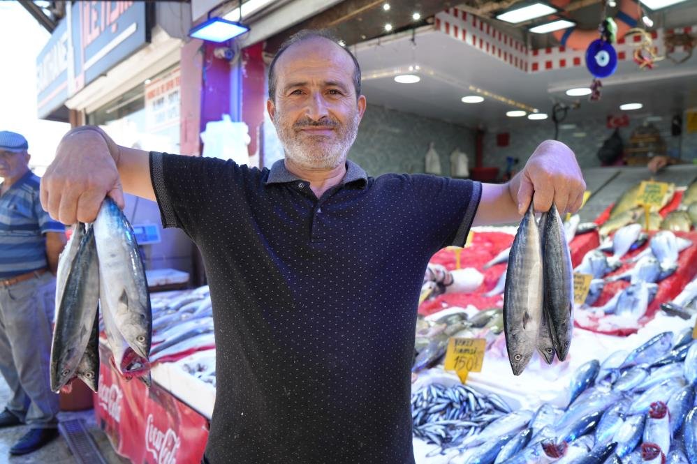 Palamutta bolluk başladı! Fiyatı duyan tezgaha koştu