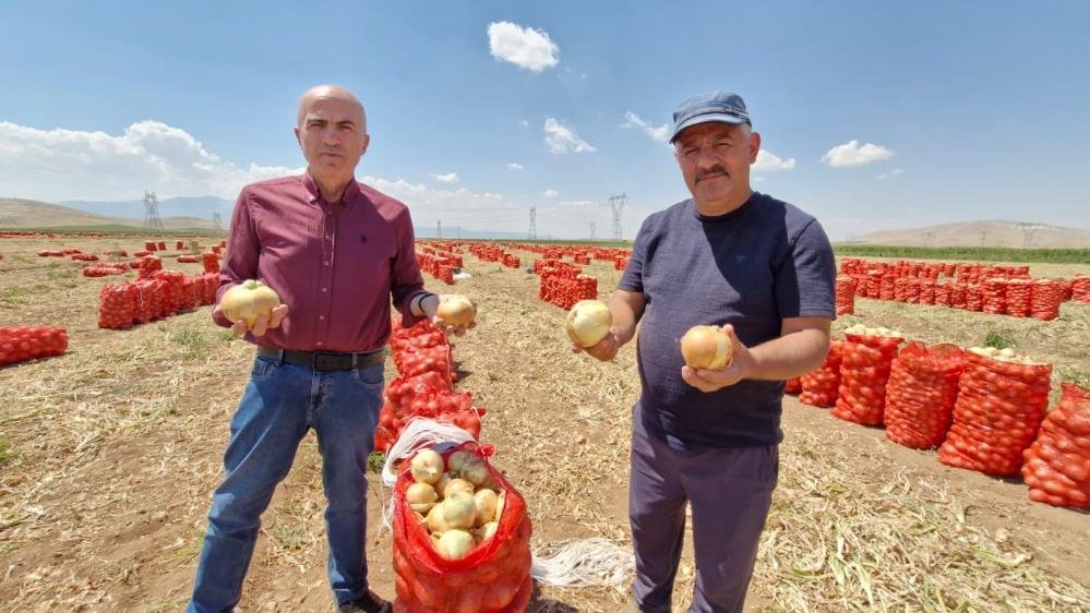 Tarlada 20 lira, sofrada 60! Üreticisini 2 yıl sonra umutlandırdı