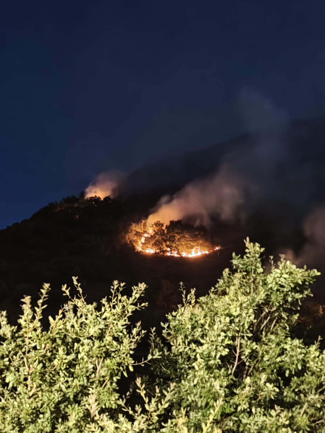 Elazığ’da orman yangını! Müdahale yeniden başladı