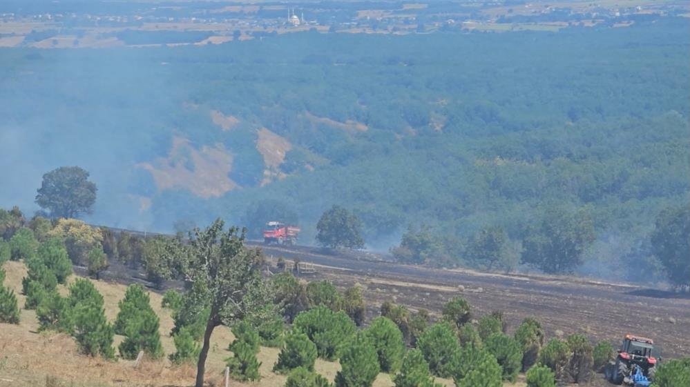 Tekirdağ'da sıcak saatler! Hobi ateşi ormanı yaktı, alevler evlere kadar yaklaştı