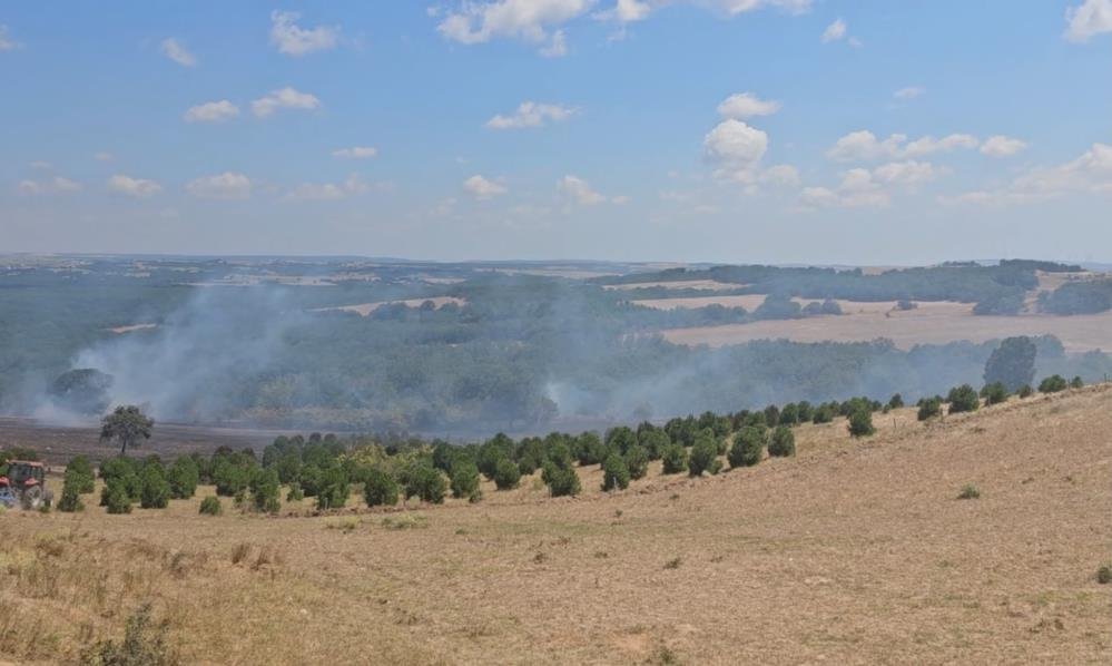 Tekirdağ'da sıcak saatler! Hobi ateşi ormanı yaktı, alevler evlere kadar yaklaştı