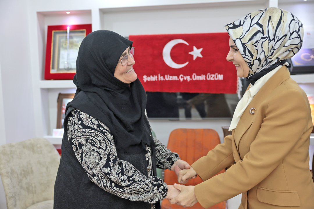Aile ve Sosyal Hizmetler Bakanlığından... Şehit yakınları ve gazilere 51 farklı hak ve destek