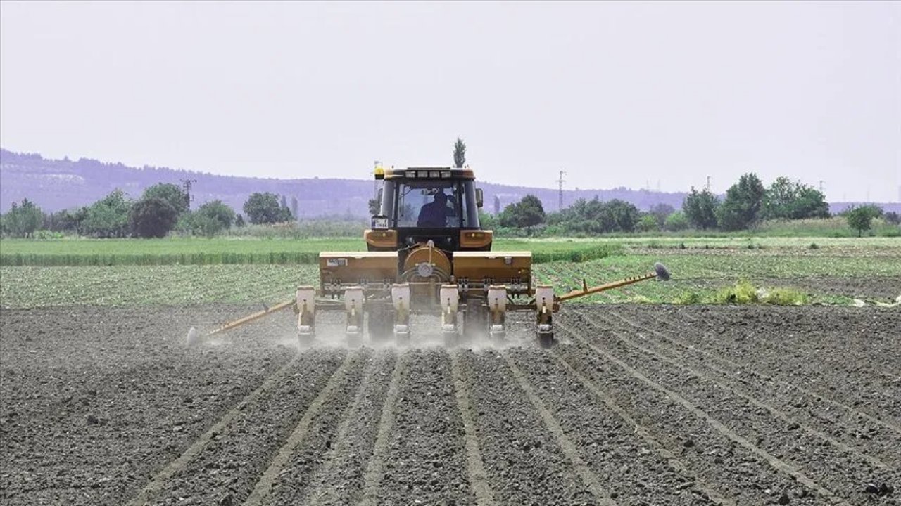 TÜİK açıkladı! Tarımsal girdi enflasyonu geriledi