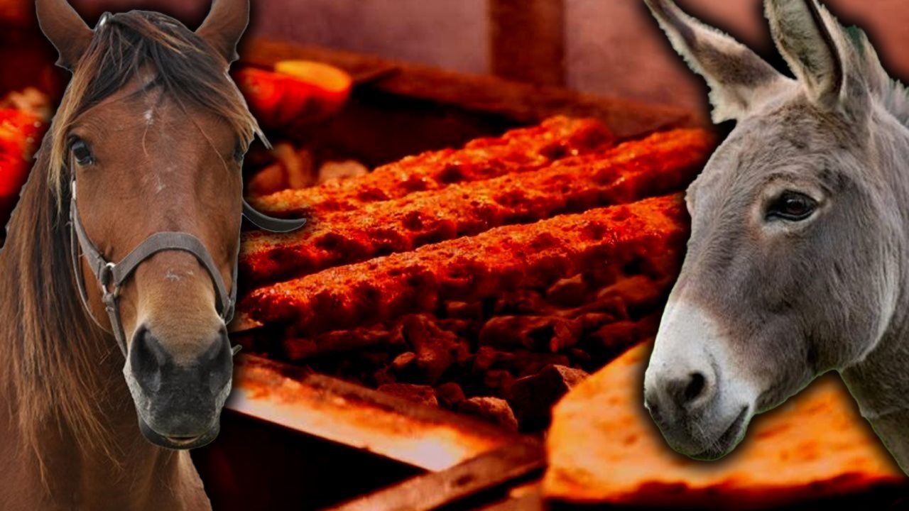 3 şehirde at ve eşek eti skandalı! Lahmacun, sucuk, tantuni, kavurma... Bakanlık marka marka ifşa etti
