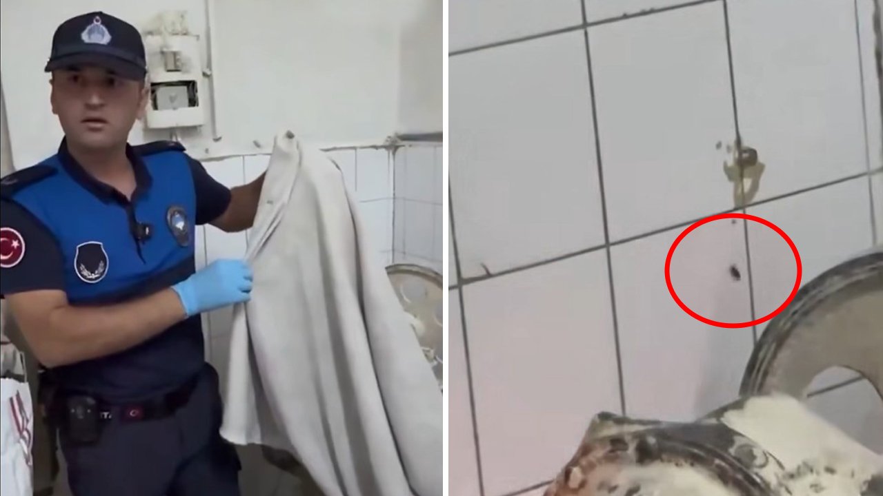 Hijyenin uğramadığı fırın kapatıldı! Dükkan sahibinden şok sözler: 2 böcekten ne olacak?