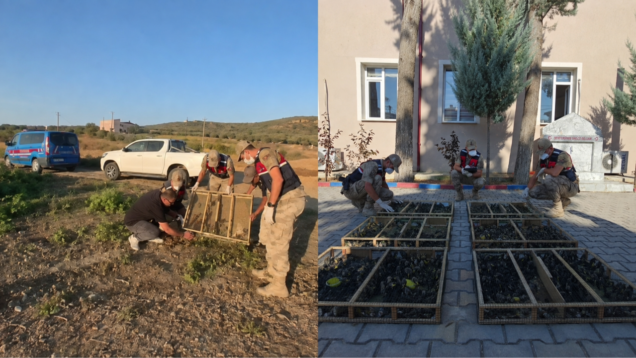 Kuş kaçakçısına ağır ceza! Traktörle sınırı geçmeye çalışan şahıs yakalandı, binlerce kuş özgürlüğüne kavuştu