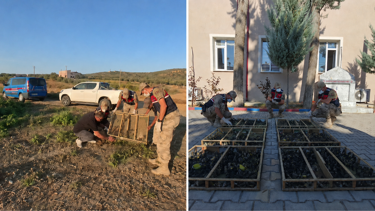 Kuş kaçakçısına ağır ceza! Traktörle sınırı geçmeye çalışan şahıs yakalandı, binlerce kuş özgürlüğüne kavuştu