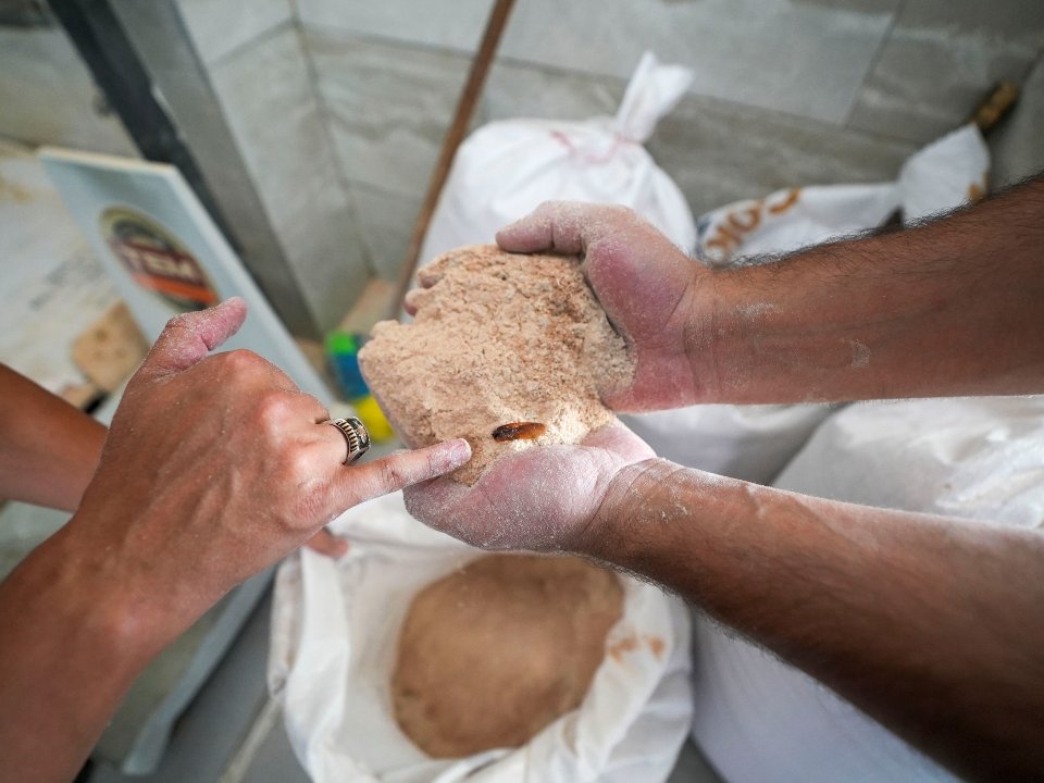 Mersin'de un fabrikasında 30 ton böceklenmiş un bulundu