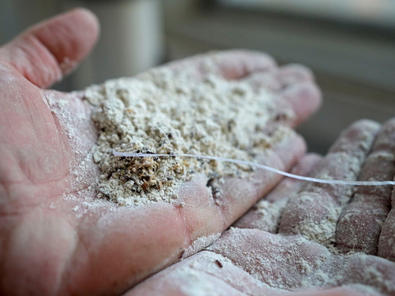 Mersinde un fabrikasında 30 ton böceklenmiş un bulundu